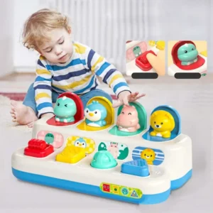 Interactive Activity Sensory Toy